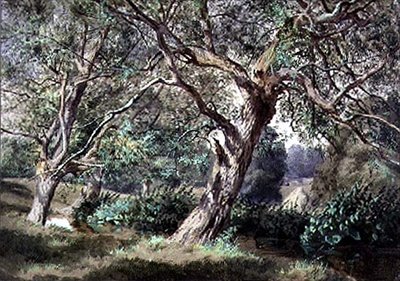 Studio di salici vicino a un ruscello da Thomas Collier